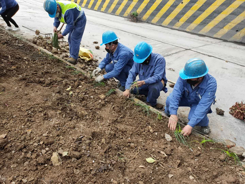 1586834636822692.jpg 圖2_副本.jpg