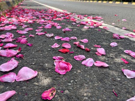 微信圖片_20250616162008 微信圖片_20250616162008