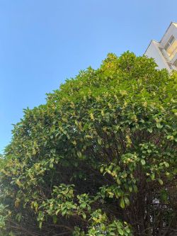 微信圖片_20251020161031