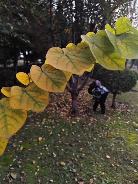 95d1b78216892efd855144ffcbf9a102